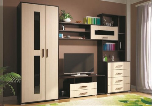 Гостиная Европа 1(венге\дуб)